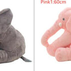 Gris1 y Rosa1