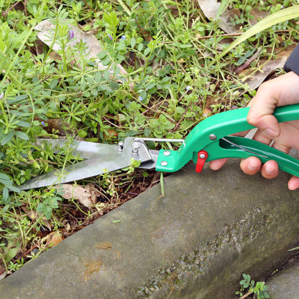 Juego de jardinería de diez piezas