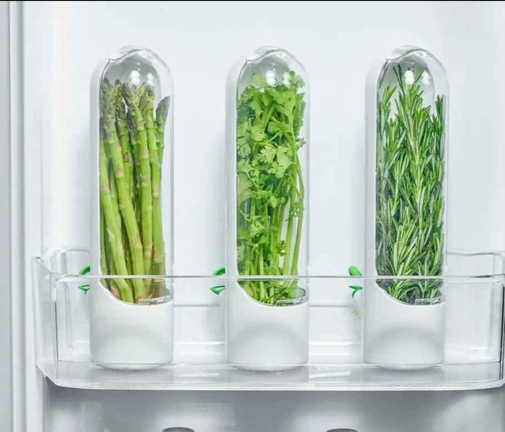 Conservador de vegetales