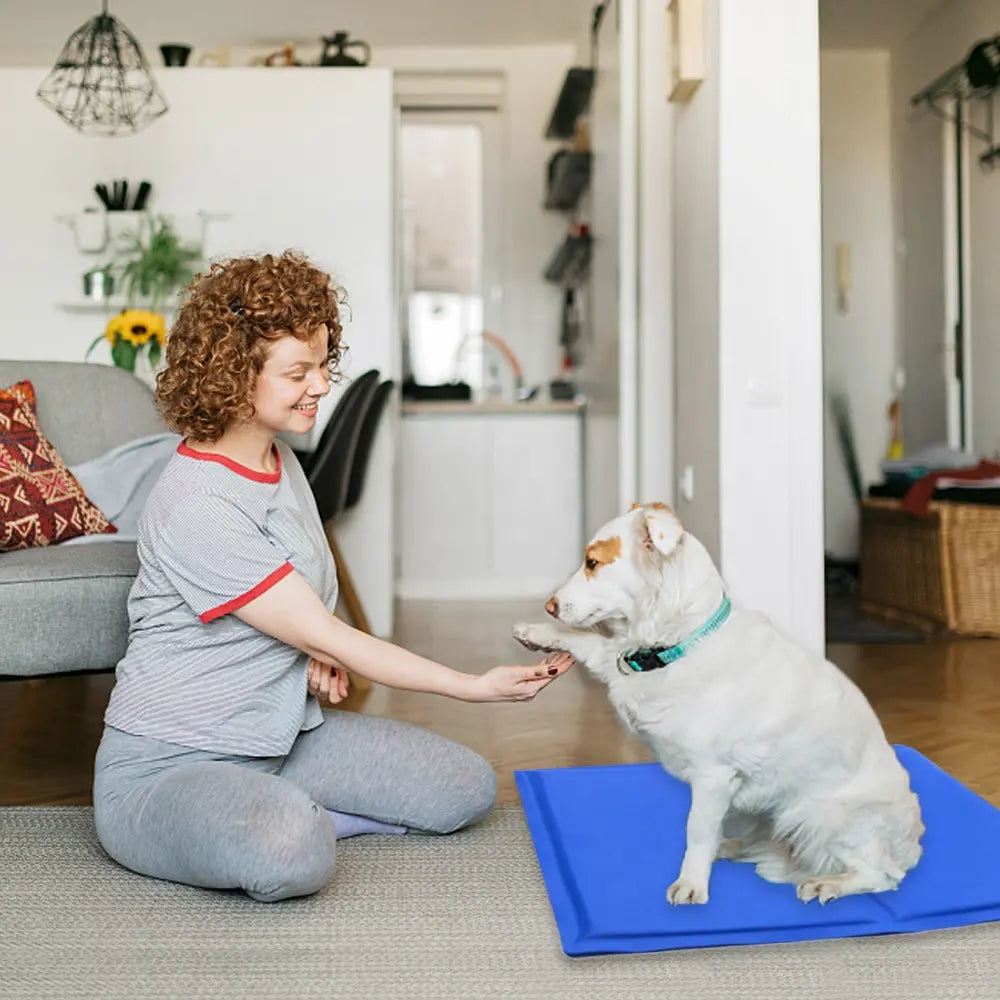 Tapetes refrescantes para mascotas
