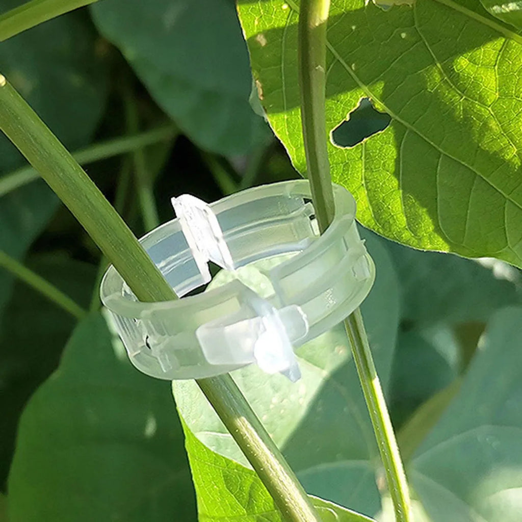 CLIPS DE SOPORTE PARA PLANTAS