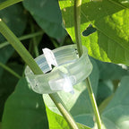 CLIPS DE SOPORTE PARA PLANTAS