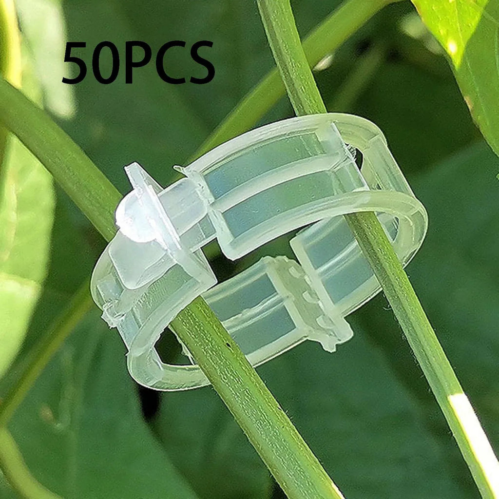 CLIPS DE SOPORTE PARA PLANTAS