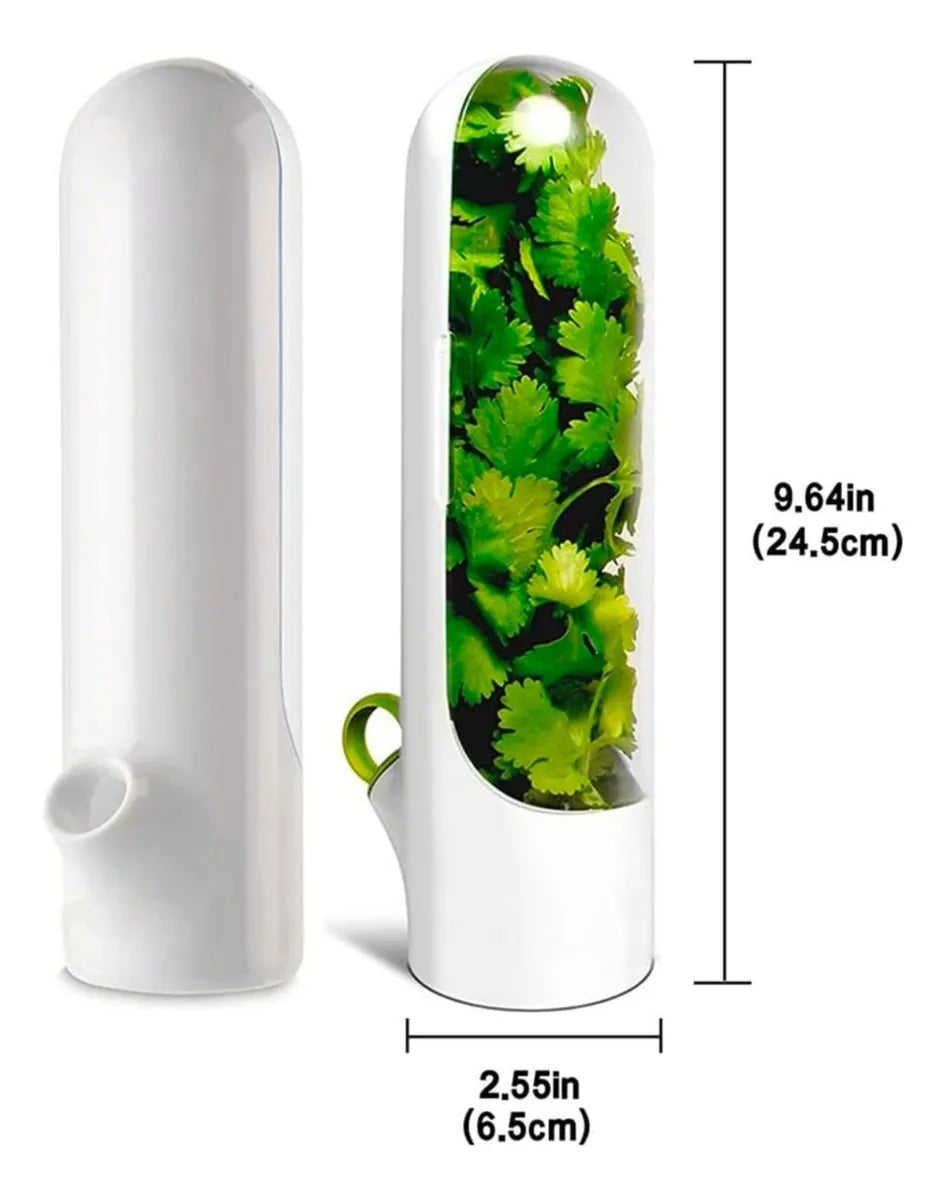 Conservador  de hiervas frescas