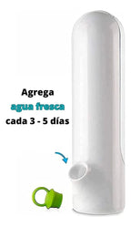 Conservador  de hiervas frescas