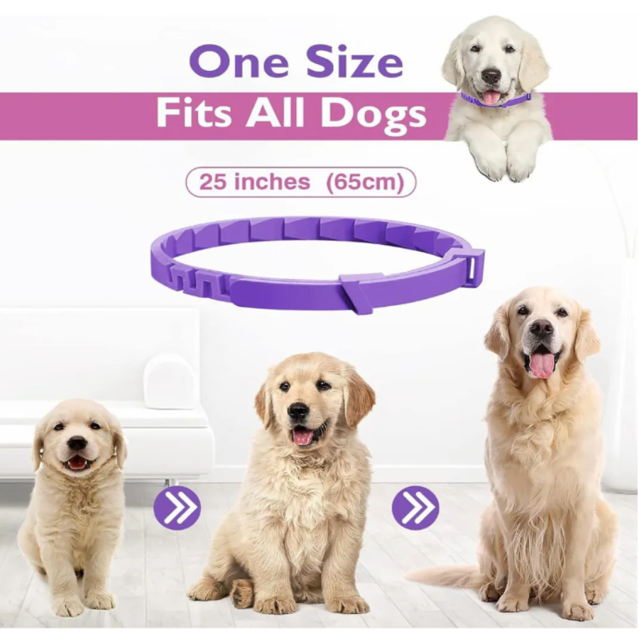 Kit 3 Piezas Collar Calmante Para Perro