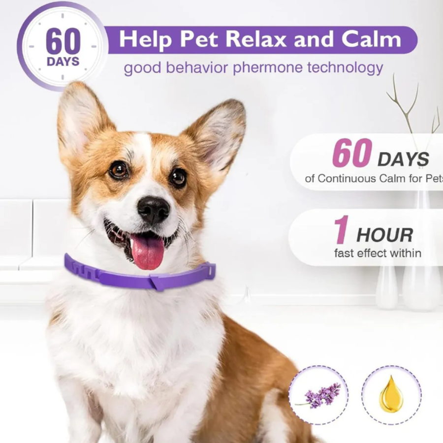 Kit 3 Piezas Collar Calmante Para Perro