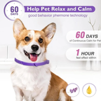 Kit 3 Piezas Collar Calmante Para Perro