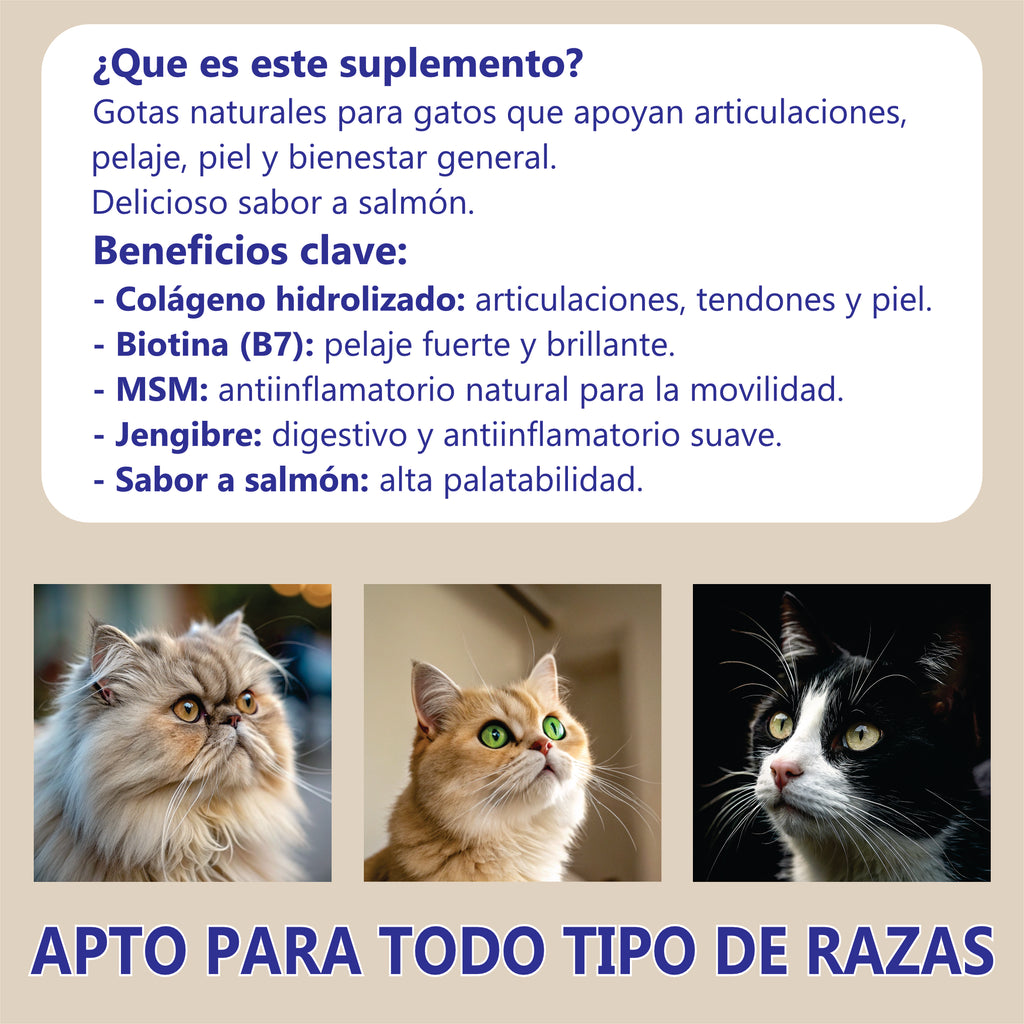 Suplemento Colágeno Gatos