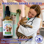 Suplemento Colágeno Gatos