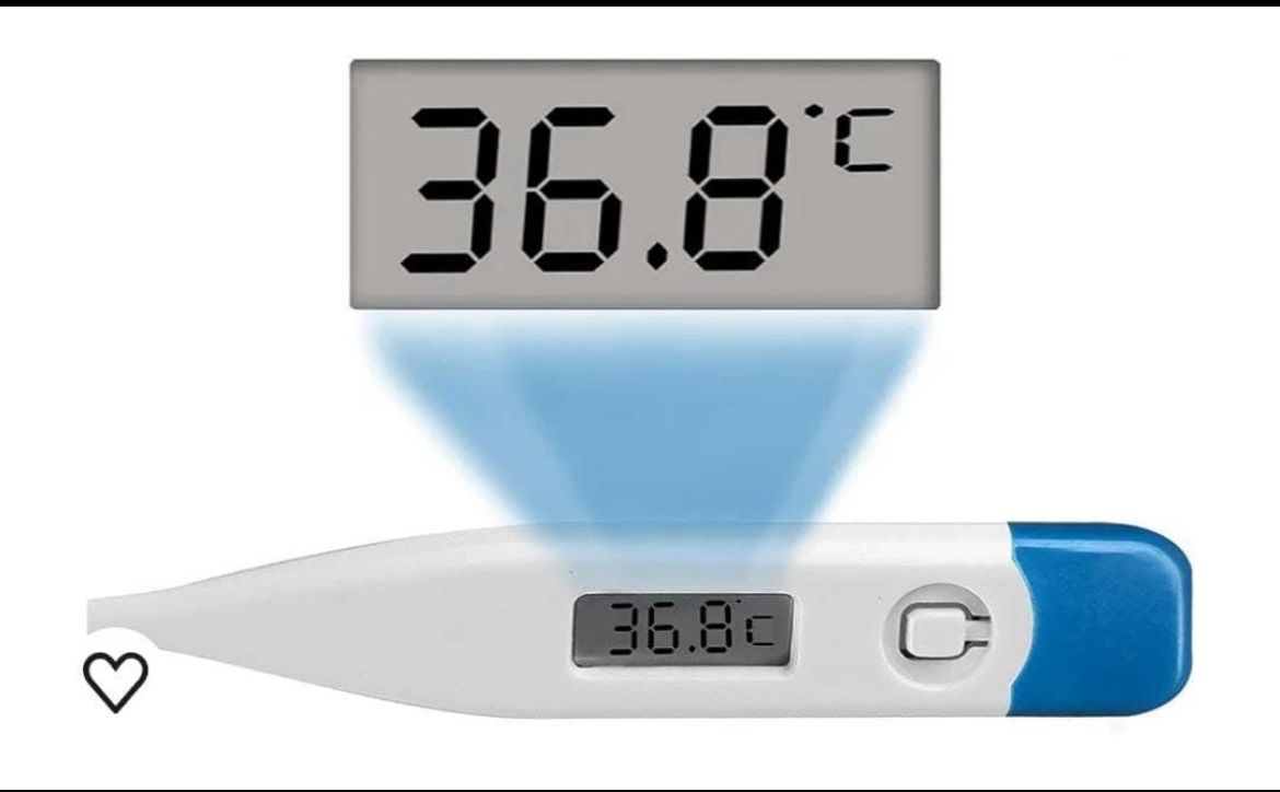 TERMOMETRO DIGITAL