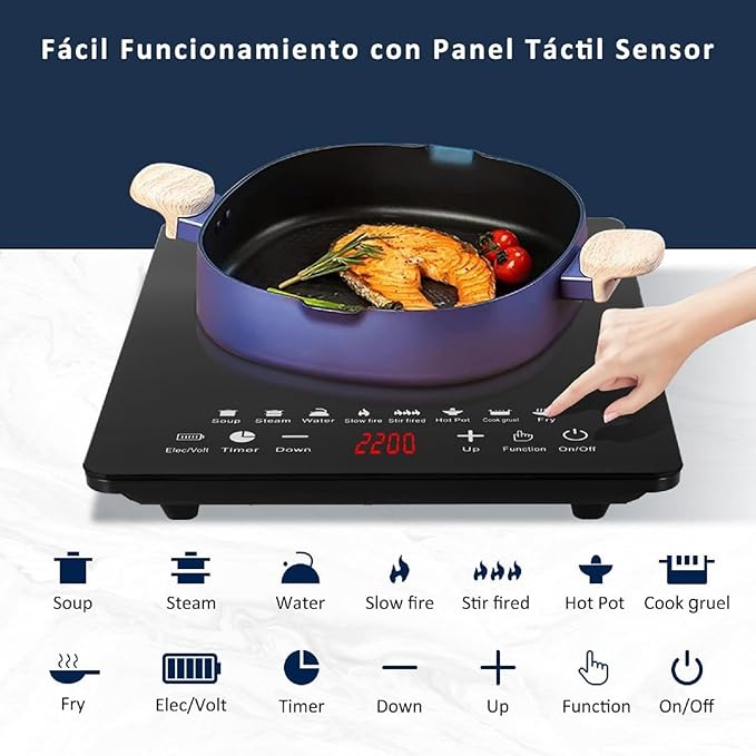 Parrilla de Inducción Eléctrica