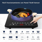 Parrilla de Inducción Eléctrica