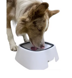 Bebedero para Mascotas
