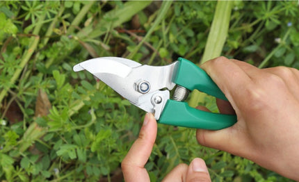 Juego de jardinería de diez piezas
