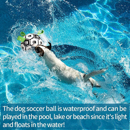 Pelota de fútbol interactiva para perros, juguete de entrenamiento inflado para perros, pelotas Border Collie para perros grandes, artículos para mascotas