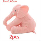 Rosa1 2uds
