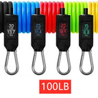 100 libras P