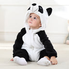 Panda / 6 a 12