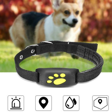 Rastreador GPS para mascotas