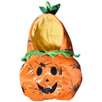 Pumpkin Pack / L