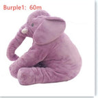 Morado1