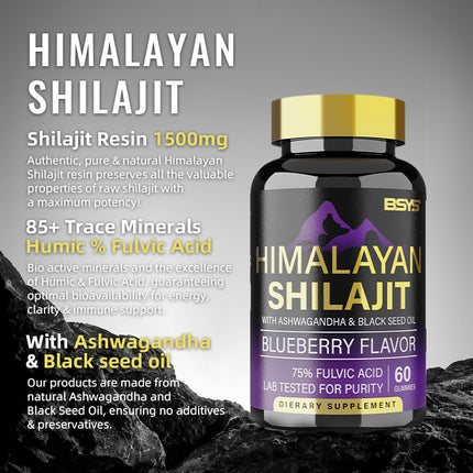 BSYS GOMITAS DE SHILAJIT 60 UNIDADES