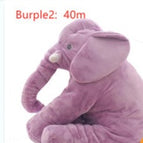 Morado2