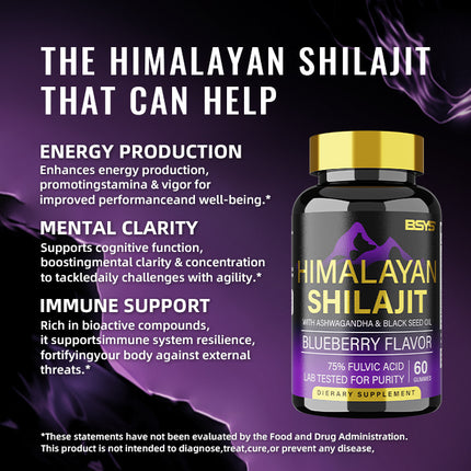 BSYS GOMITAS DE SHILAJIT 60 UNIDADES