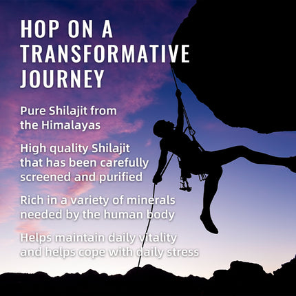 BSYS GOMITAS DE SHILAJIT 60 UNIDADES