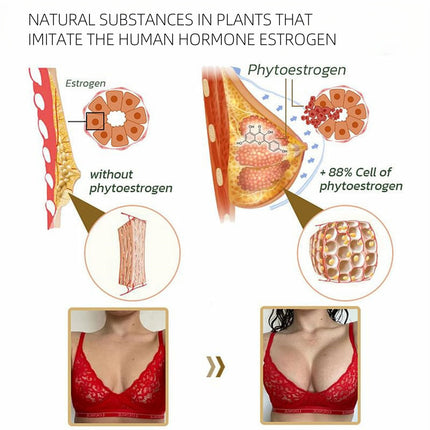 Suplemento de Papaya