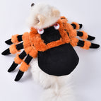 Spider Pet Costume / L