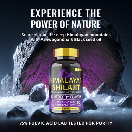 BSYS GOMITAS DE SHILAJIT 60 UNIDADES