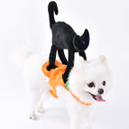Little Black Cat / L